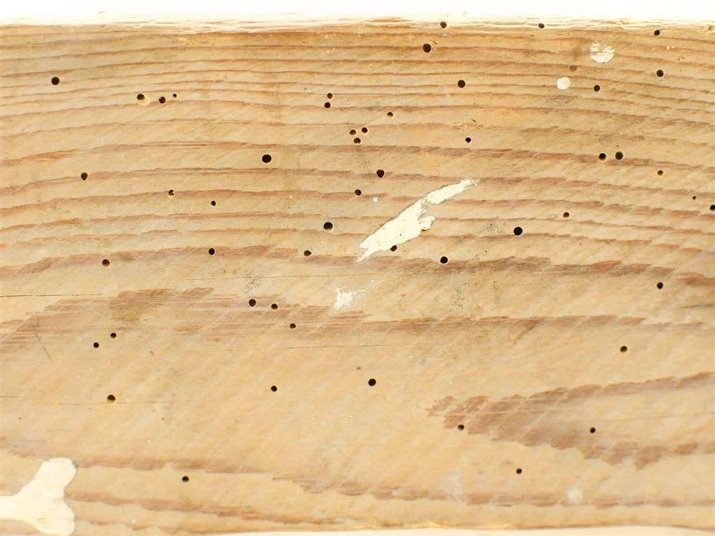 Houten krat 53123, Ophalen of Verzenden, Gebruikt, Minder dan 50 cm