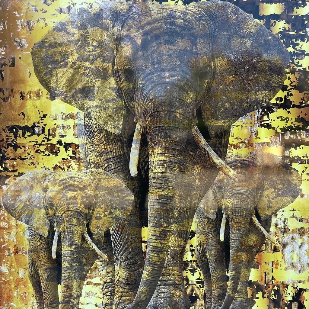 Bas | Elephants, Antiek en Kunst, Kunst | Schilderijen | Modern, Ophalen