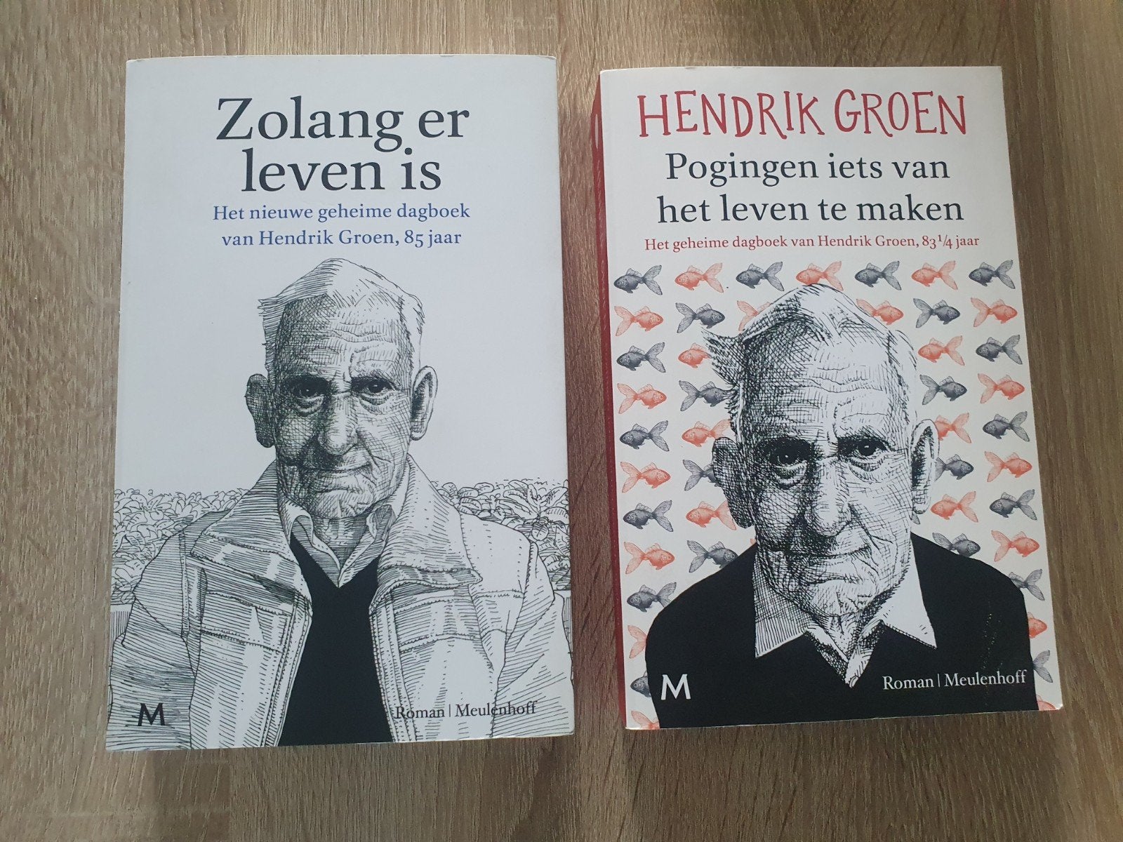 2 boeken van Hendrik Groen: Zolang er leven is & Pogingen, Boeken, Ophalen of Verzenden, Zo goed als nieuw, Hendrik Groen, Nederland