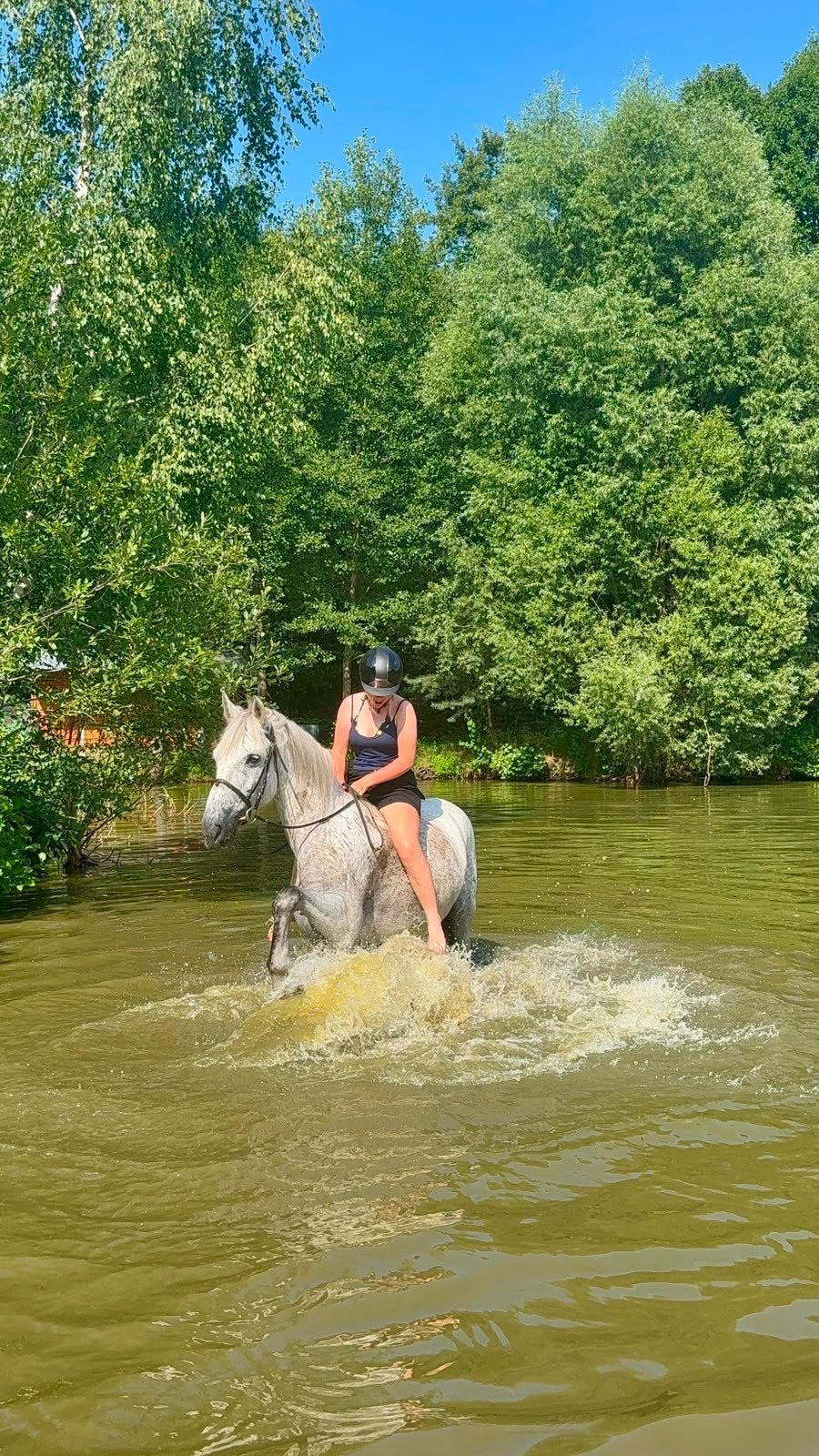 opzoek naar verzorg pony/paard, Ophalen