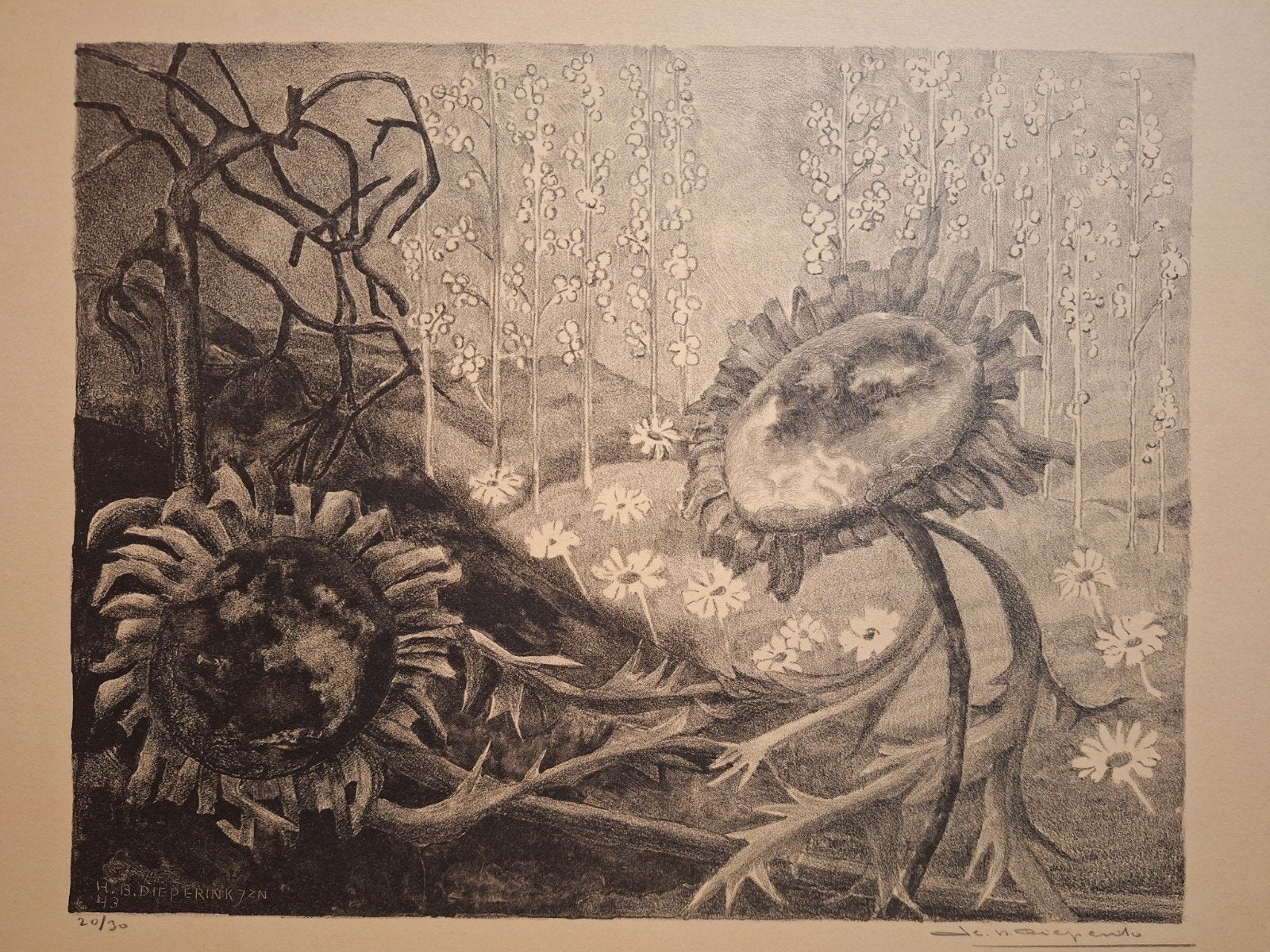 Lithografie Zonnebloemen - Gesigneerd en Genummerd, Gesigneerd, Ophalen of Verzenden, Dieren en Natuur, Lithografie