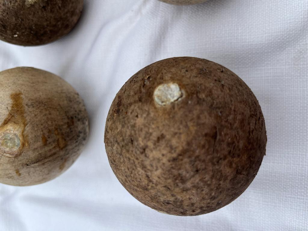 Set van 8 houten ballen, mogelijk voor jeu de boules, Ophalen, Gebruikt
