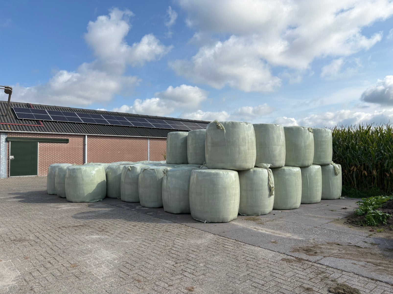 Te koop kwaliteit gras balen, Ophalen, Vee