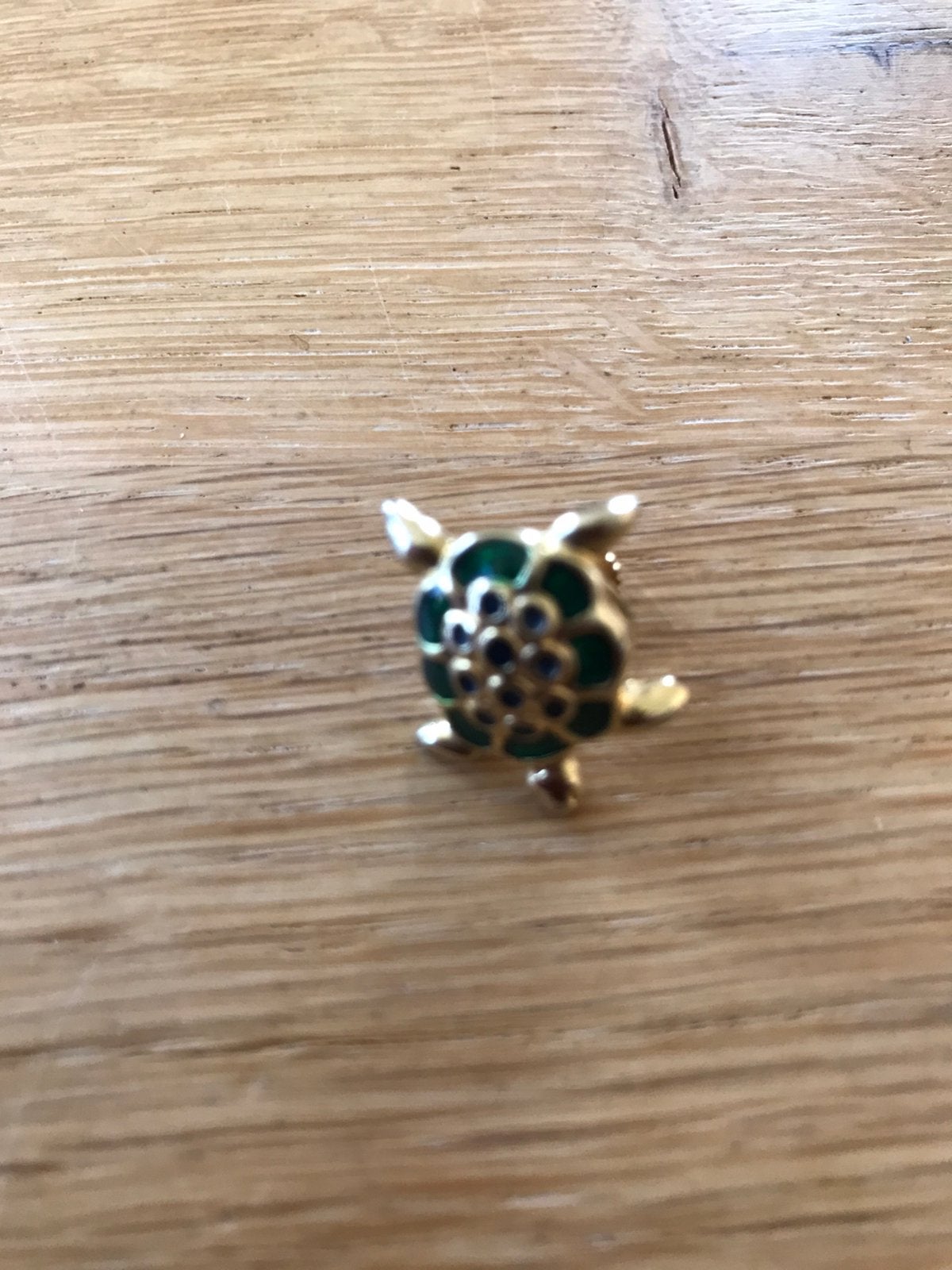 Goudkleurige broche schildpad, Ophalen of Verzenden, Gebruikt, Overige materialen