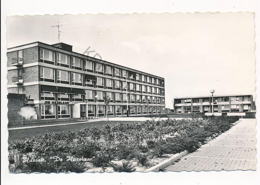 Hasselt - De Hazelaar [003-5744, Verzamelen, Ansichtkaarten | Nederland, Verzenden, 1960 tot 1980, Gelopen, Overijssel