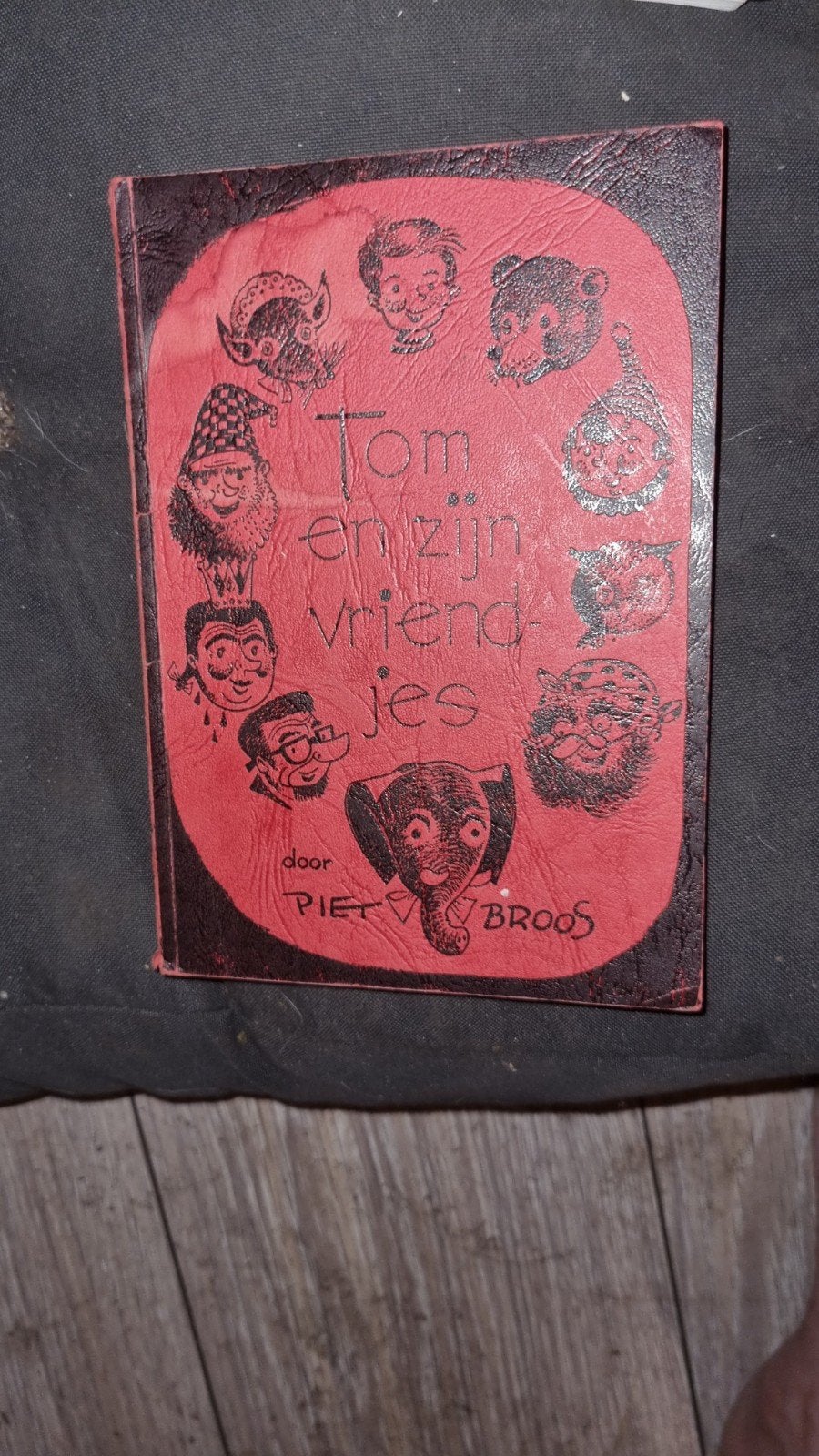 Tom en zijn vriendjes - Piet Broos (Vintage Boek), Ophalen of Verzenden, Gelezen, Piet Broos, Fictie algemeen