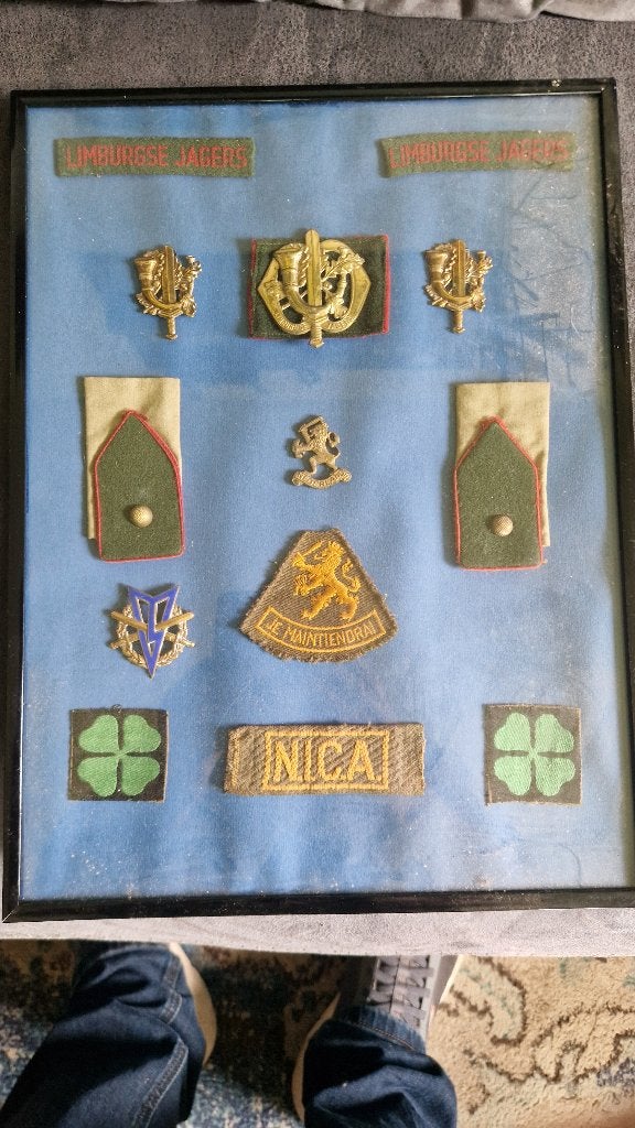 limburgse jagers, Verzamelen, Ophalen of Verzenden, Landmacht, Nederland, Embleem of Badge