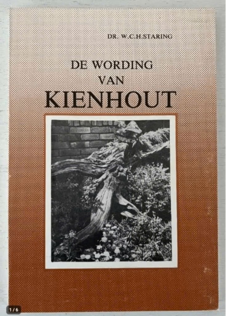 De wording van Kienhout - Dr. W.C.H. Staring, Boeken, Ophalen of Verzenden, Gelezen, Europa