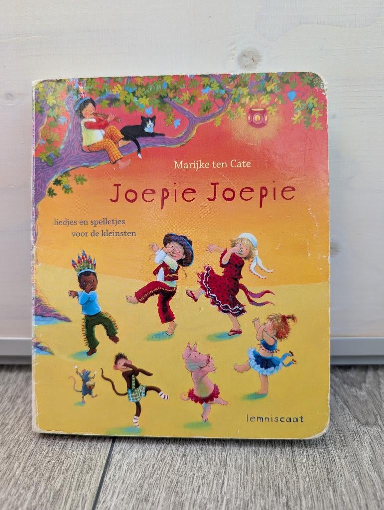 Joepie Joepie inclusief cd - Marijke ten Cate, Gelezen, Jongen of Meisje, Ophalen of Verzenden, Voorleesboek