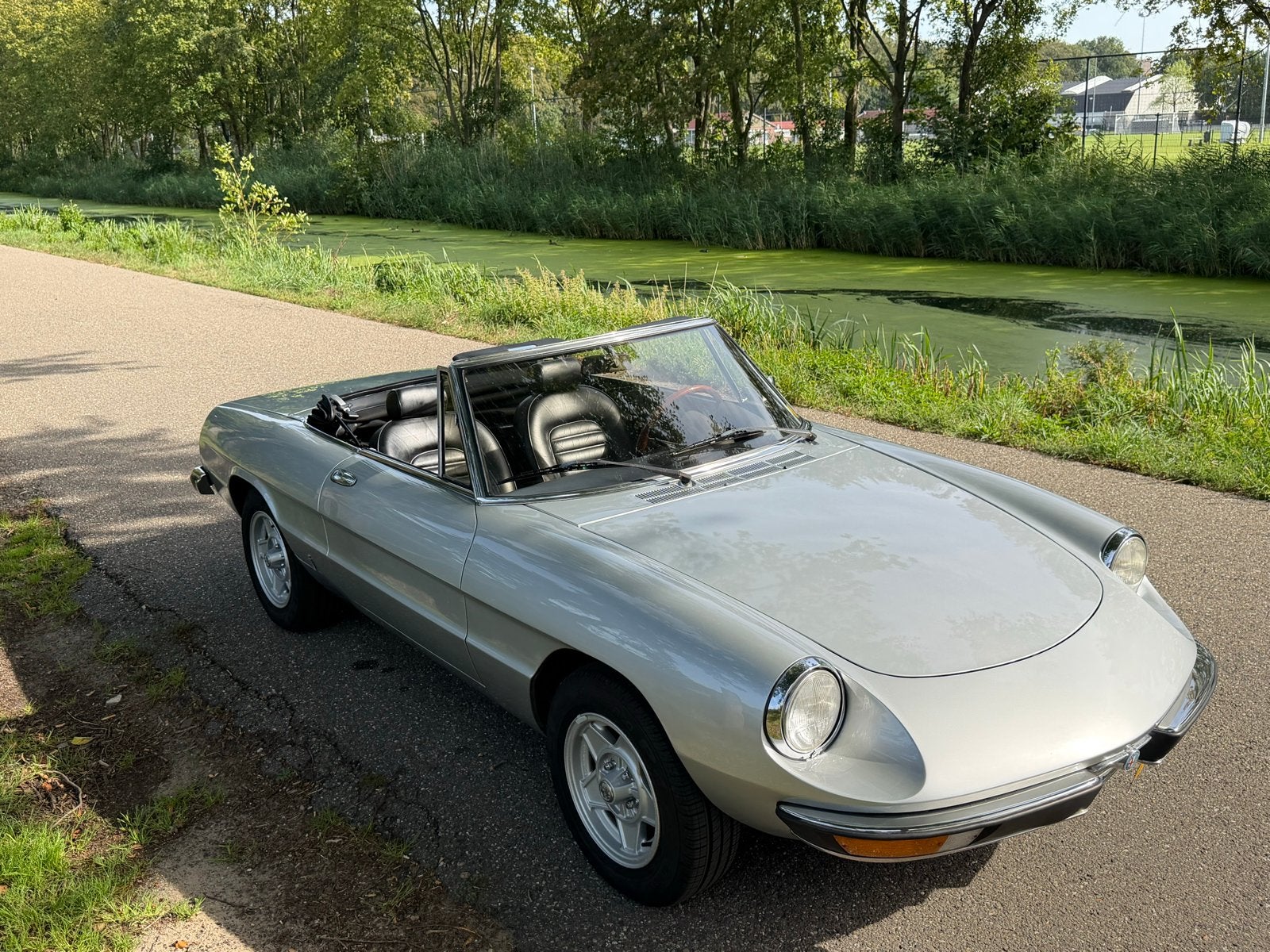 Alfa Romeo Spider 2000   2.0 Ltr. 1979 Zilvergrijs, Achterwielaandrijving, Zwart, 4 cilinders, Cabriolet