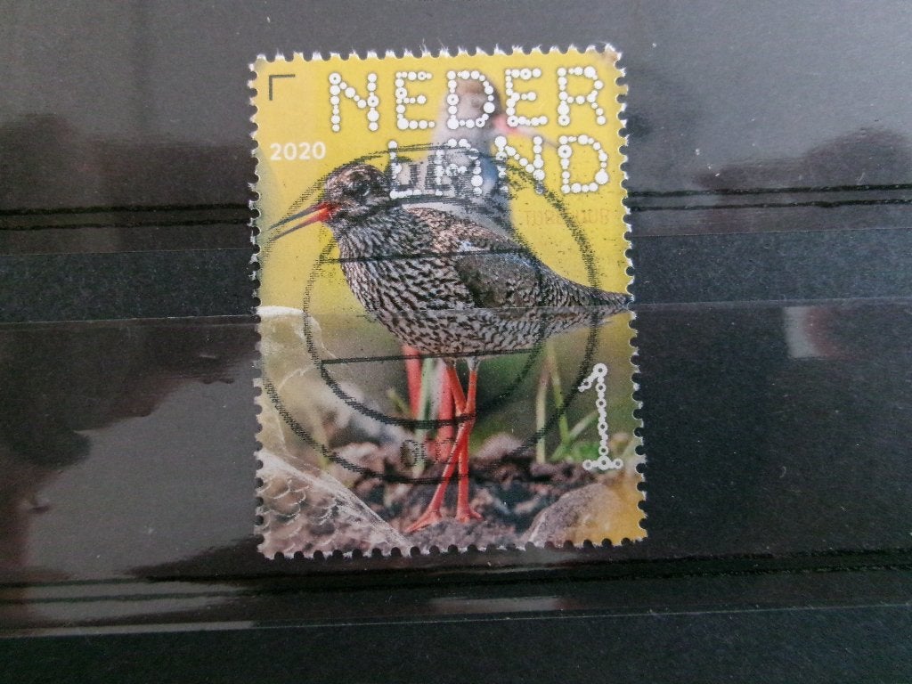2020 - beleef de natuur tureluur (201c), Ophalen of Verzenden, Gestempeld