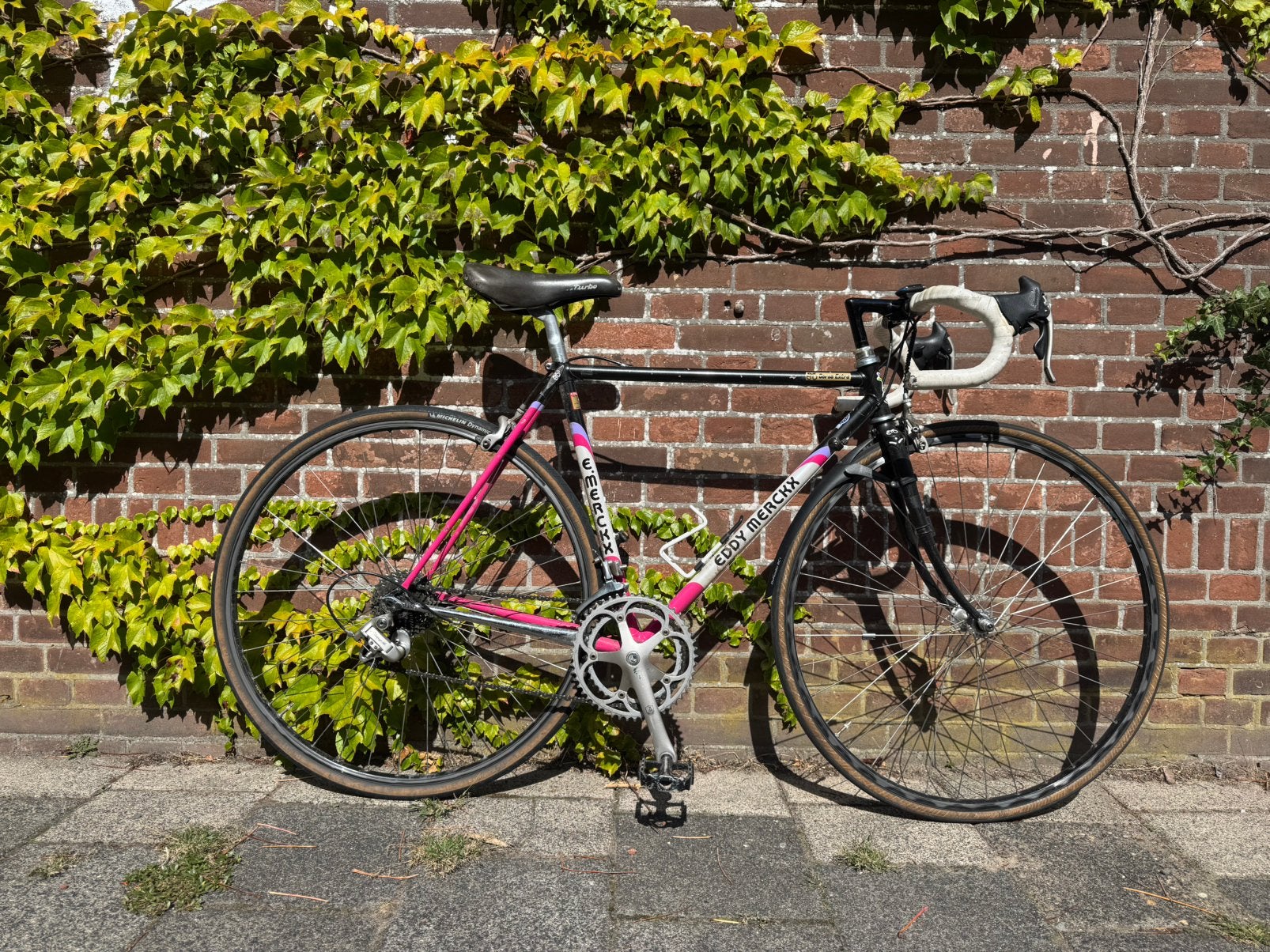 Eddy Merckx  Campagnolo Corsa Extra ‘dames’, Gebruikt, 26 inch, Velgrem, 49 tot 53 cm
