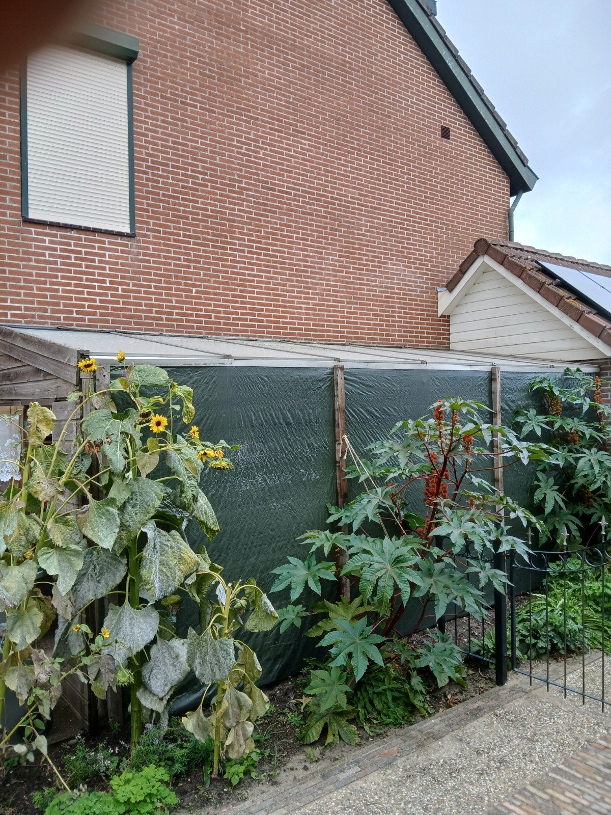 Overkapping, Ophalen, Gebruikt, Veranda