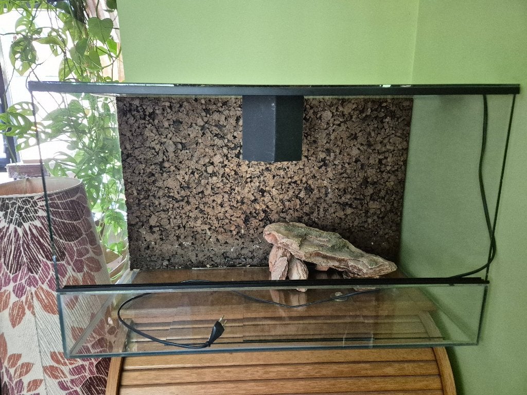 Terrarium 80x50x40, Ophalen, Gebruikt, Terrarium of Paludarium