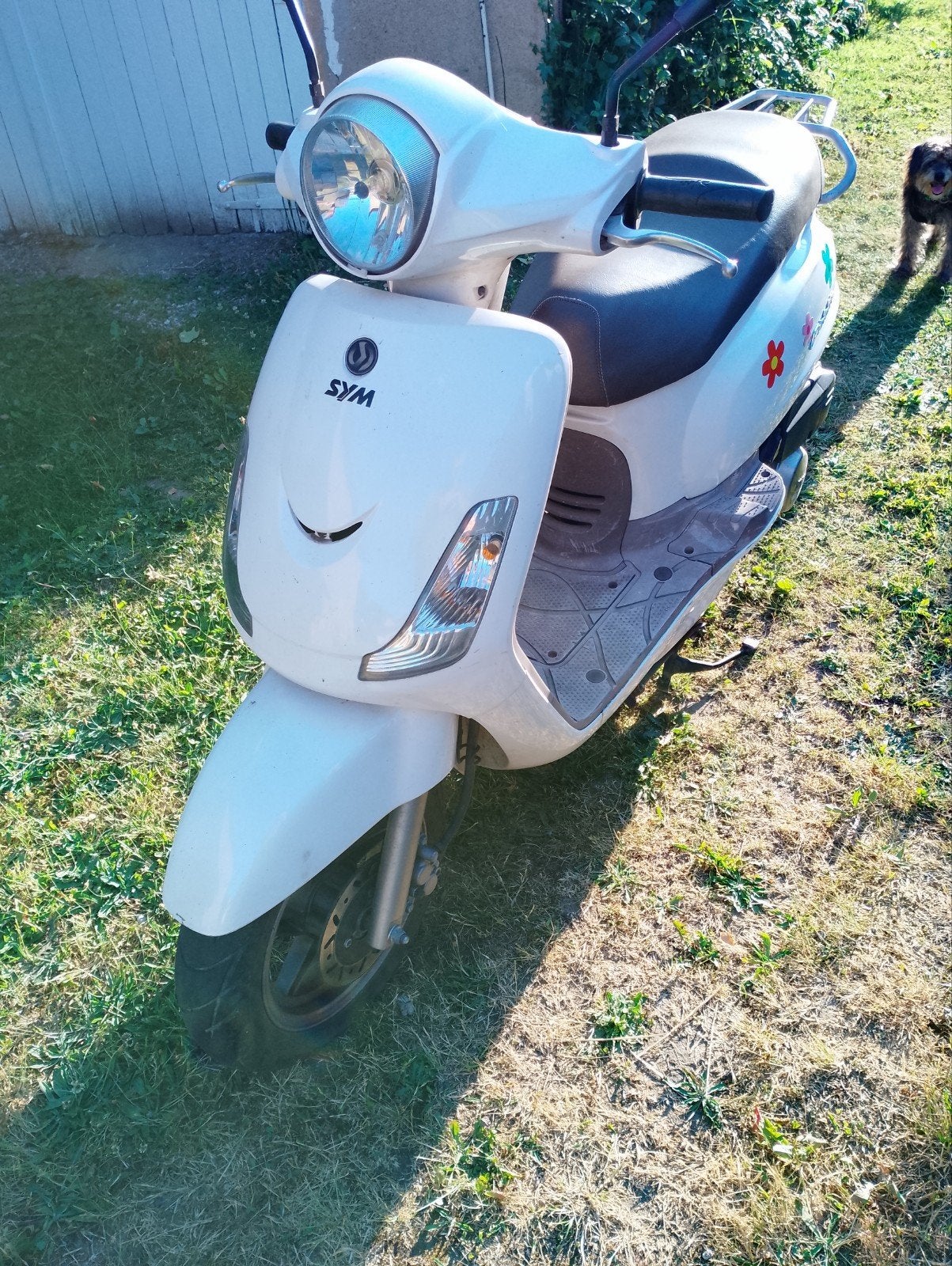 Sym Fiddle 125CC motorscooter - Bouwjaar 2009, Ophalen, Gebruikt, Sym Fiddle, 125 cc