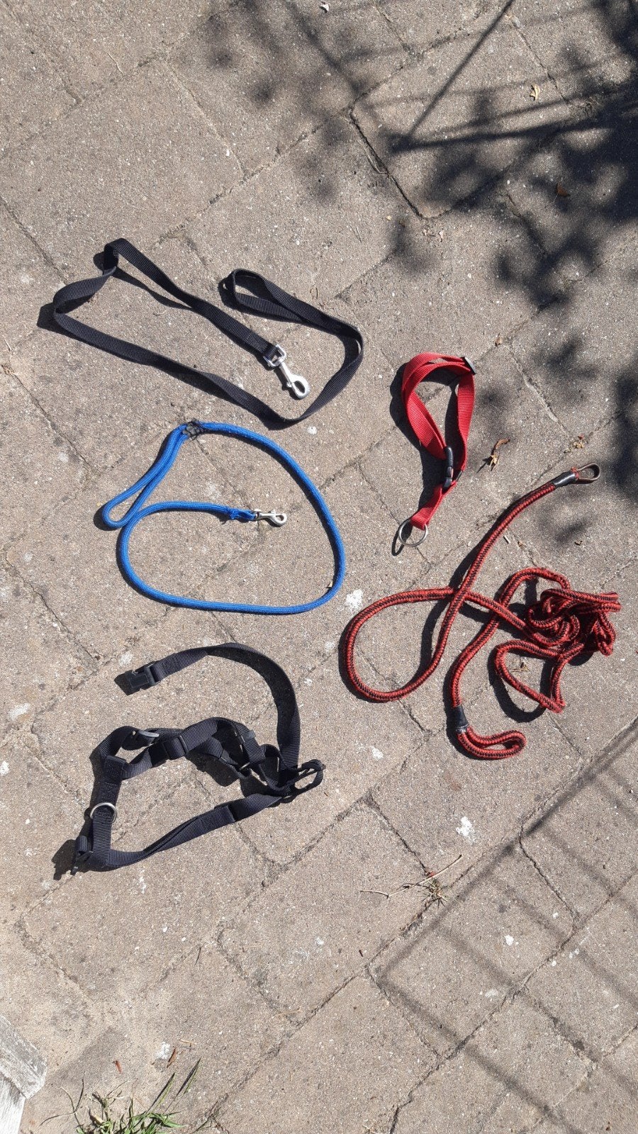 Hondenriem, halsband, tuigje, Ophalen