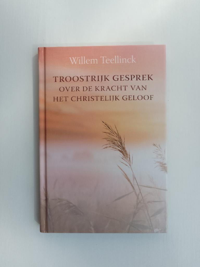 Troostrijk gesprek - Willem Teellinck, Boeken, Godsdienst en Theologie, Christendom | Protestants, Zo goed als nieuw, Willem Teellinck