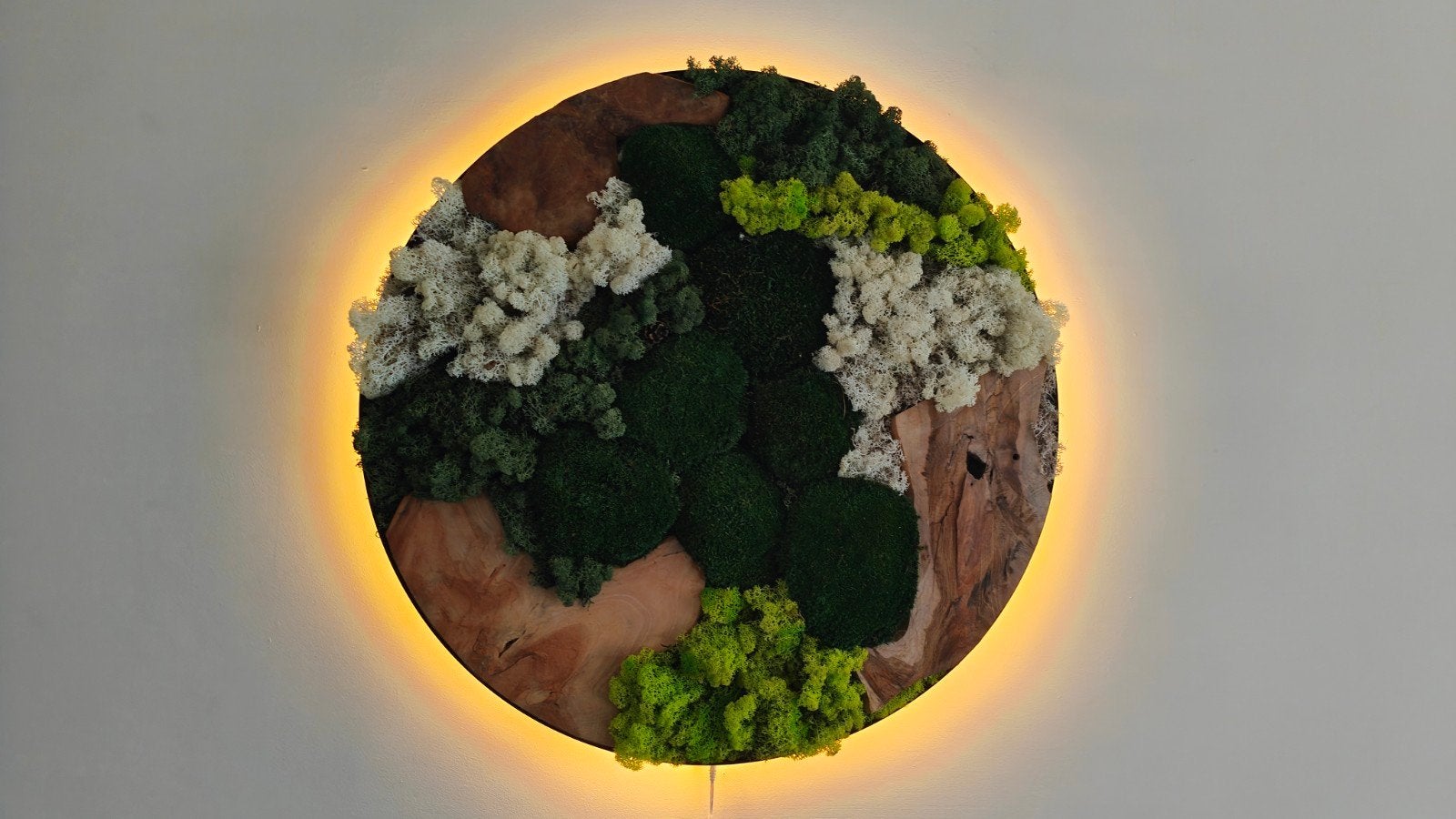 Moscirkel 80cm met LED verlichting - Groen Mosschilderij, Ophalen, Groen, Handgemaakt, Nieuw