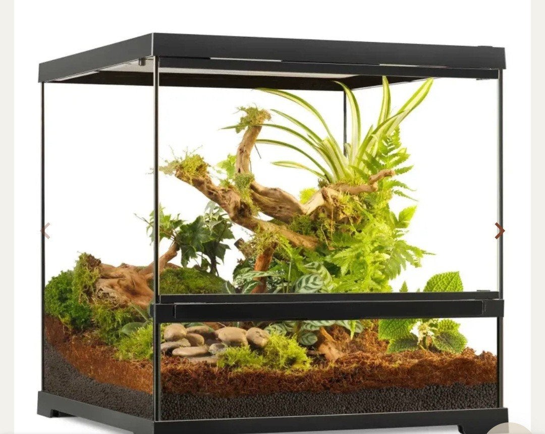 Gezocht: klein paludarium, Ophalen of Verzenden