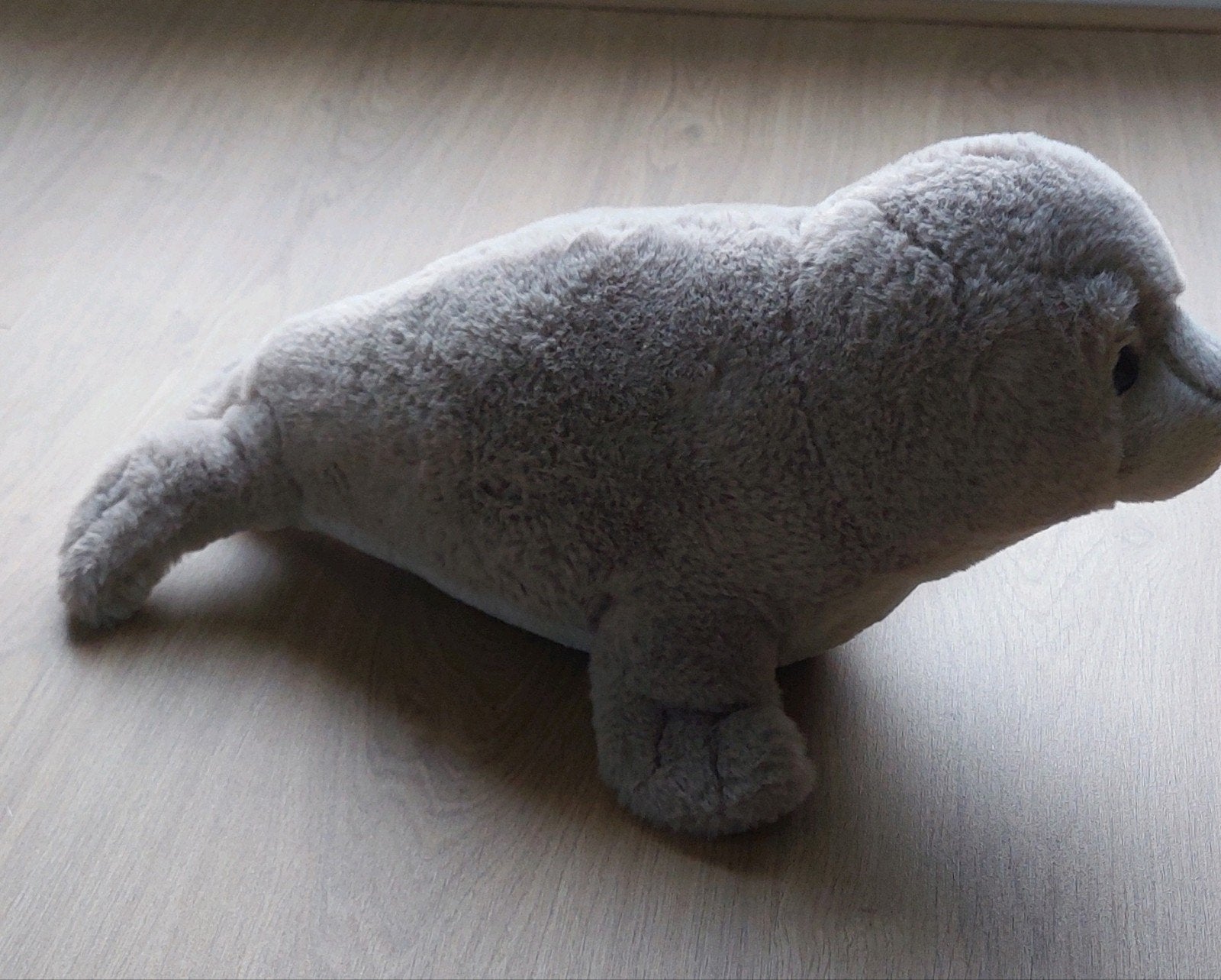 Ontzettend leuke knuffel,  zeehond. Nieuw, Ophalen of Verzenden, Nieuw, Overige typen