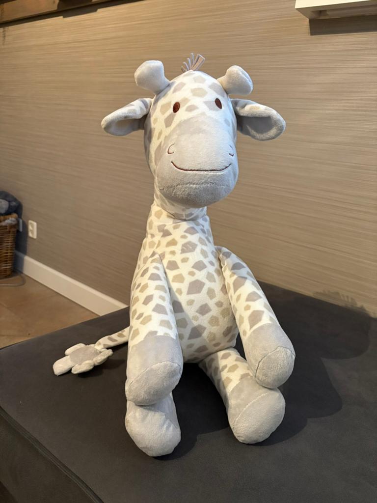 Leuke giraffe knuffel, Kinderen en Baby's, Speelgoed | Knuffels en Pluche, Ophalen, Giraf