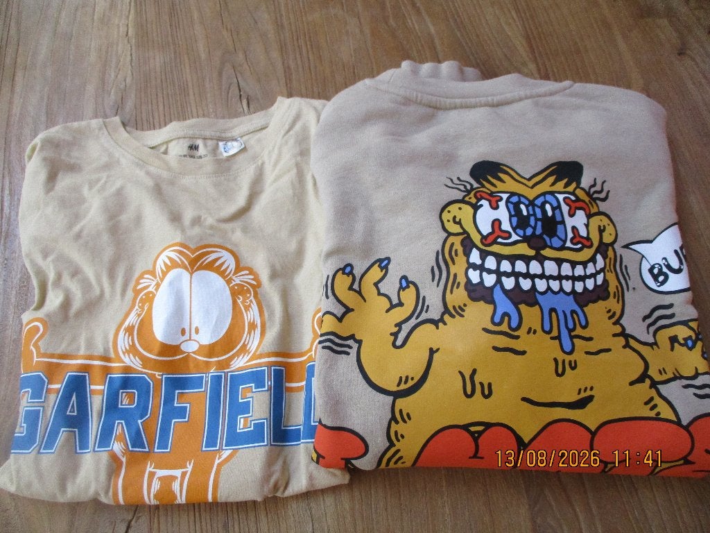 trui en t shirt van garfield maat 170, Gebruikt, H&M, Ophalen of Verzenden, Setje