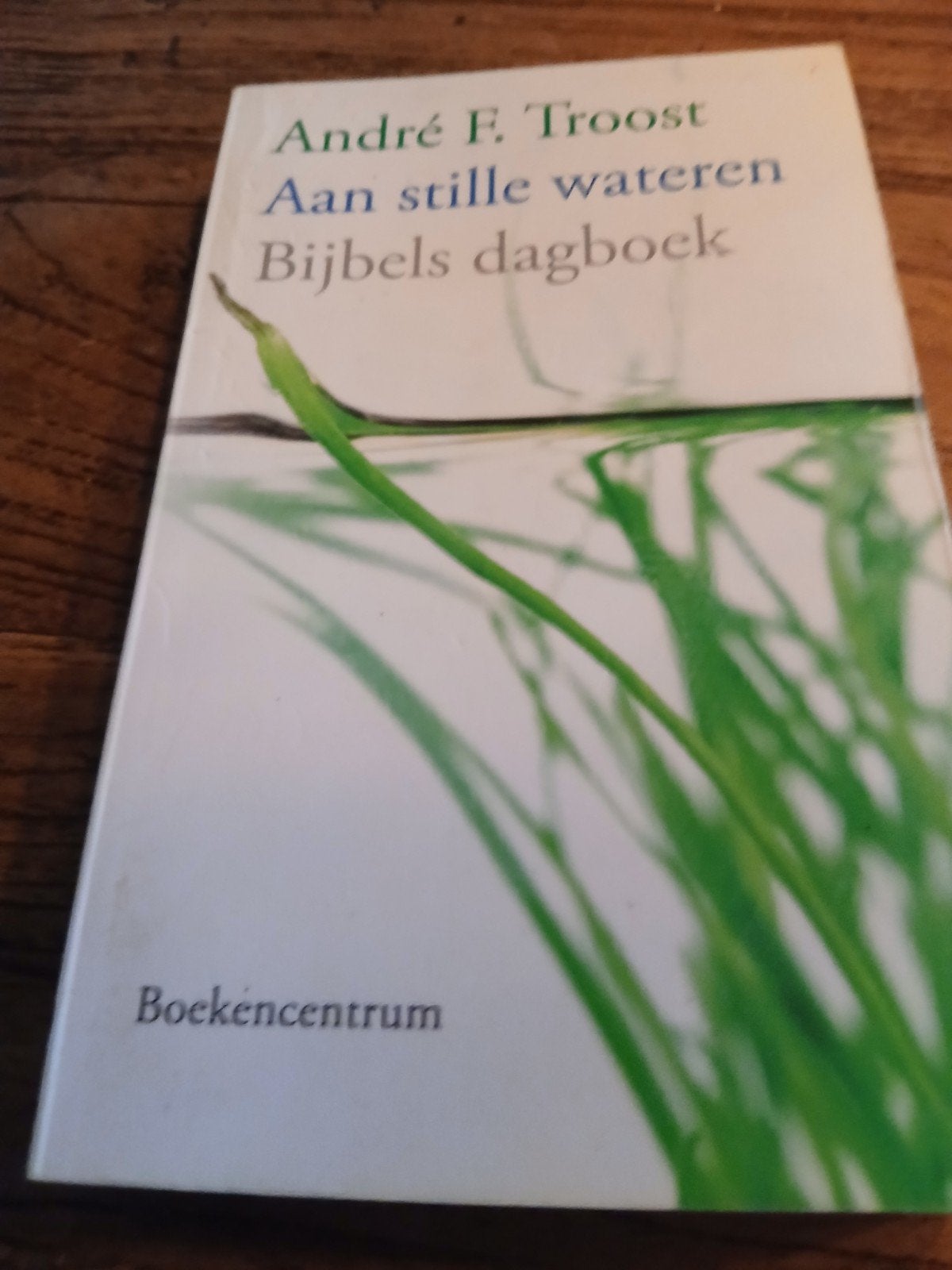 Aan stille wateren - Bijbels dagboek door André F. Troost, Boeken, Ophalen of Verzenden, Zo goed als nieuw, André F. Troost, Christendom | Protestants