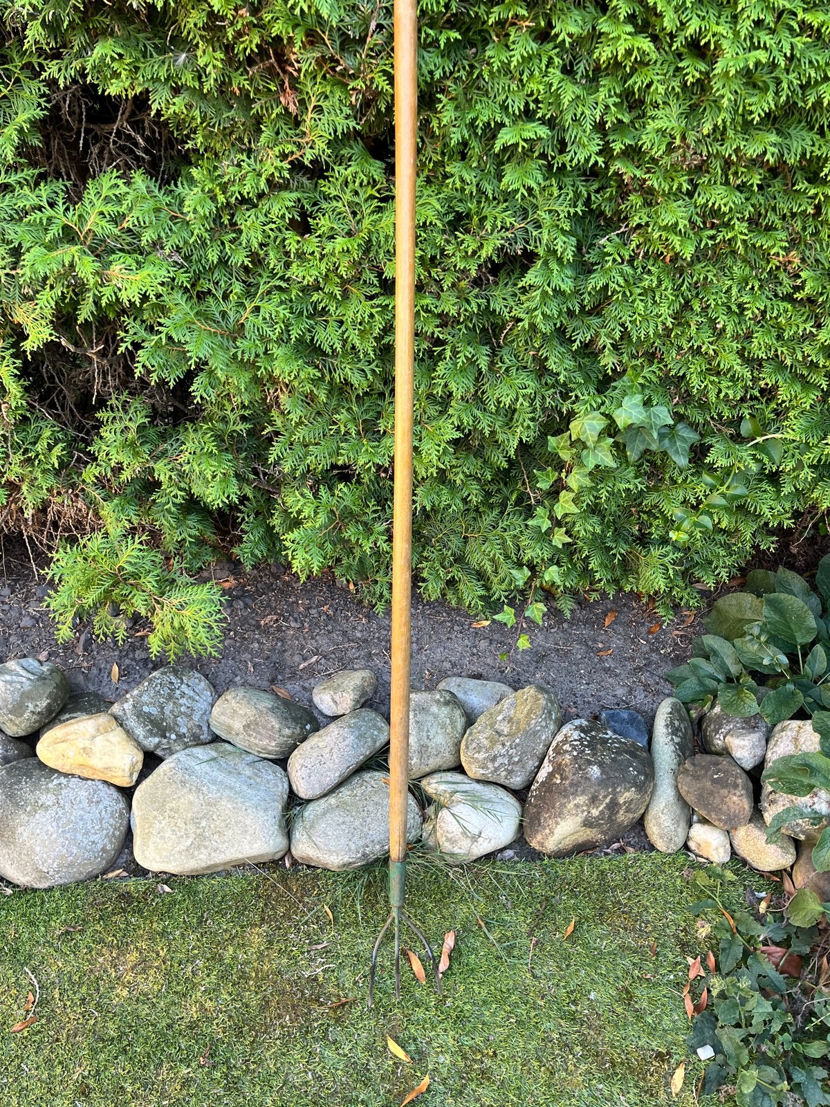 Drietand hark / handcultivator met houten steel, Ophalen, Gebruikt, Cultivator