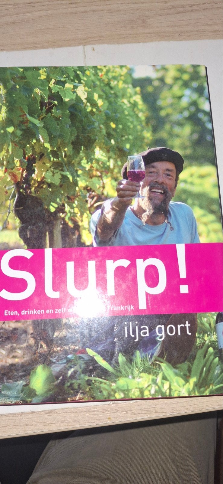 Slurp! Eten, drinken zelf wijn kopen in Frankrijk - Ilja G, Ophalen of Verzenden, Ilja Gort, Frankrijk, Hoofdgerechten