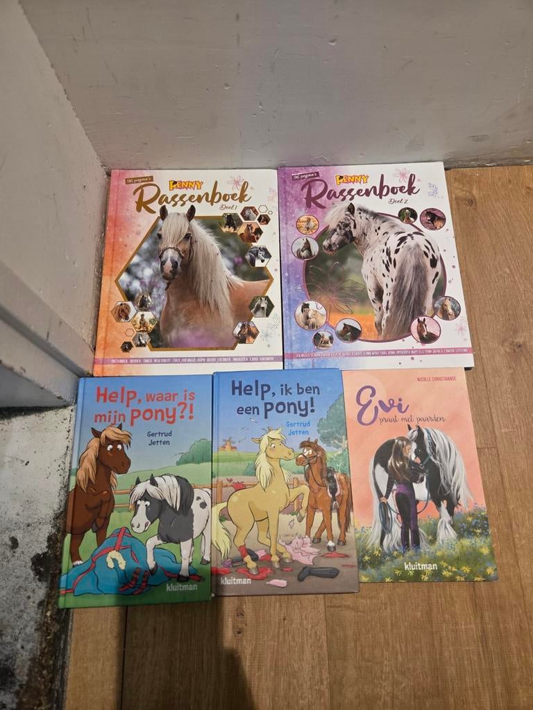 Paardenboeken set: Penny Rassenboek & Evi, Gertrud Jetten, Ophalen of Verzenden, Gelezen, Gertrud Jetten