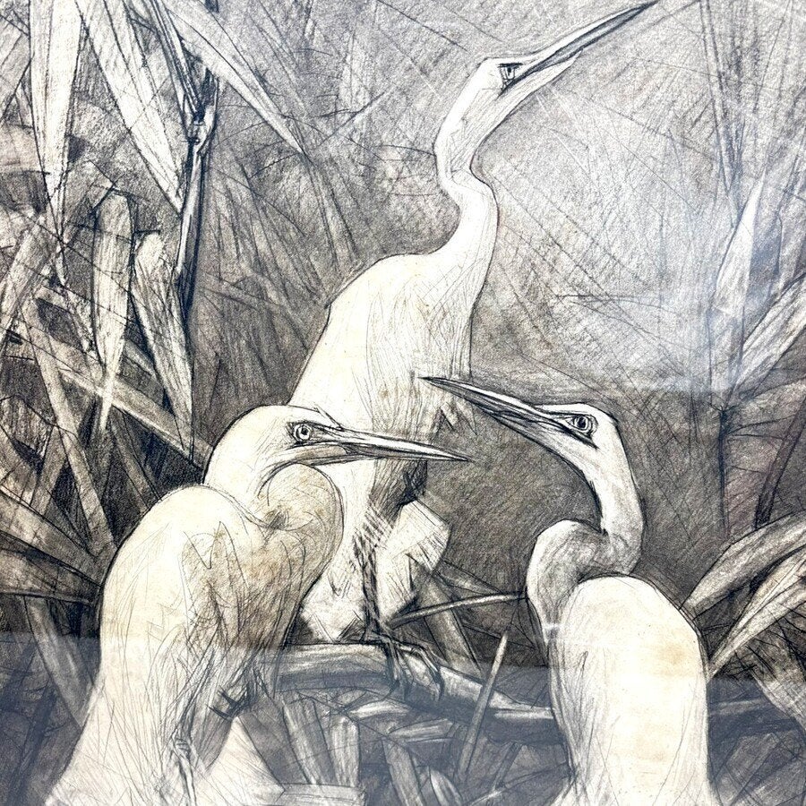 Sam van Beek (1878-1957) - zilverreigers