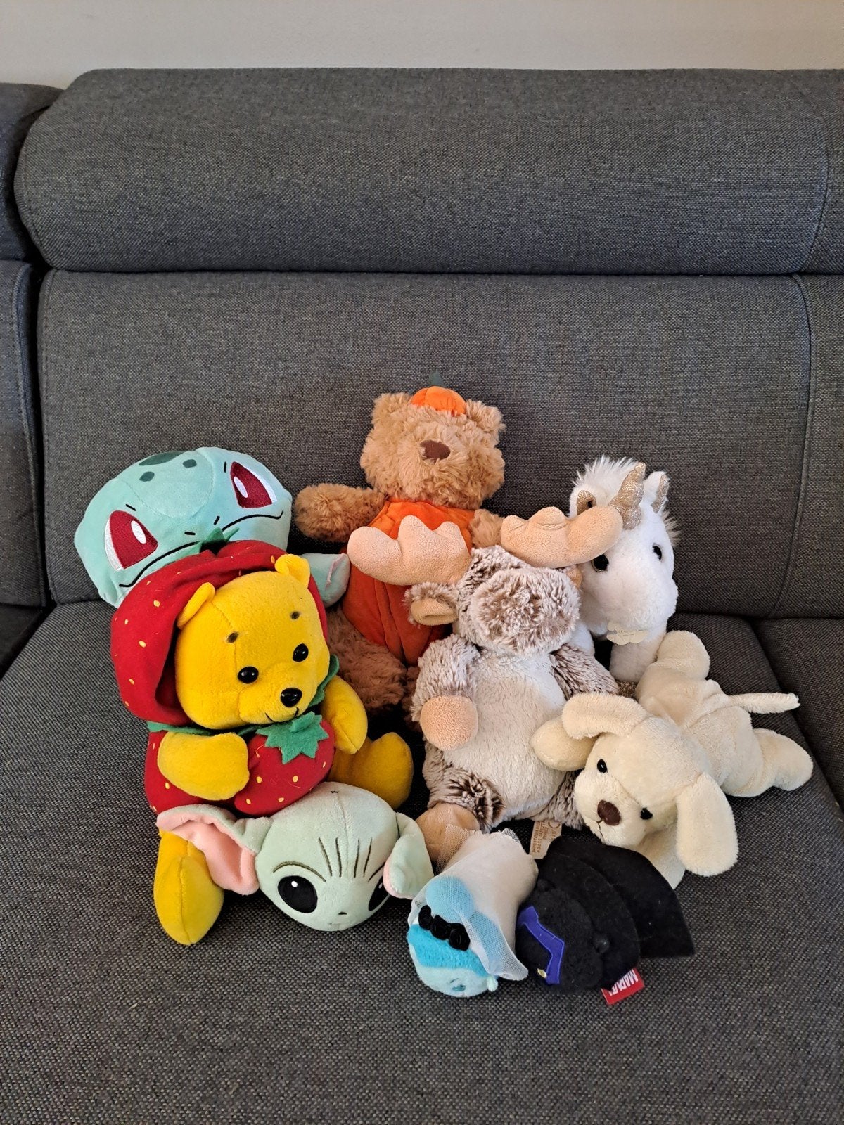 diversen knuffels, Kinderen en Baby's, Speelgoed | Knuffels en Pluche, Ophalen of Verzenden, Overige typen