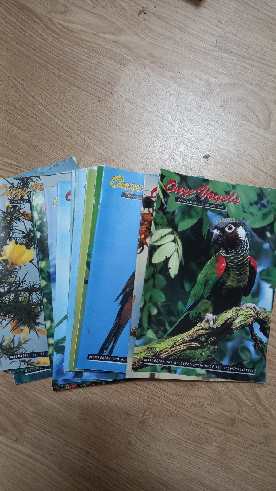 20x Onze Vogels tijdschriften - Maandblad vogelliefhebbers, Boeken, Ophalen of Verzenden, Gelezen, Wetenschap en Natuur