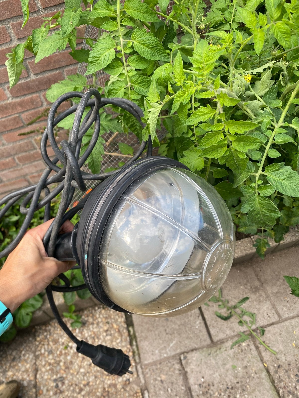 Gebruikte kweeklamp/broeikastlamp  voor planten, Ophalen of Verzenden, Gebruikt, Minder dan 50 watt, Lamp