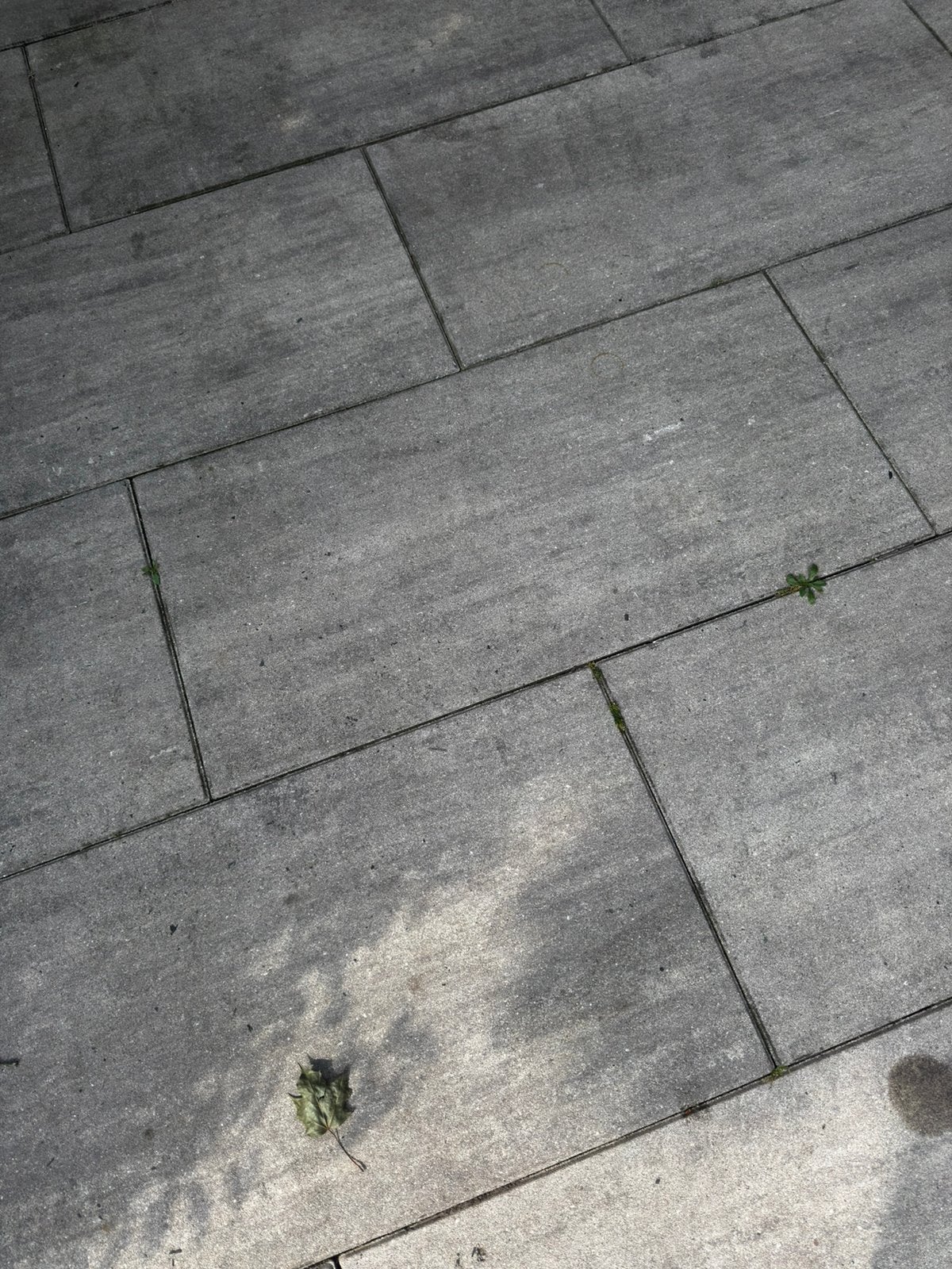 Terrastegel beton, Ophalen, Zo goed als nieuw, Hout
