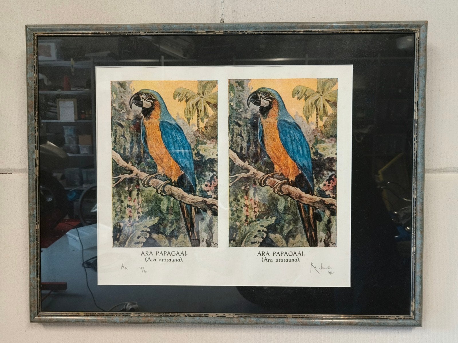 Rob Scholte - Ara Papagaai (1992) - Gesigneerd en Genummerd, Antiek en Kunst, Gelimiteerde oplage, Ophalen of Verzenden, Dieren en Natuur