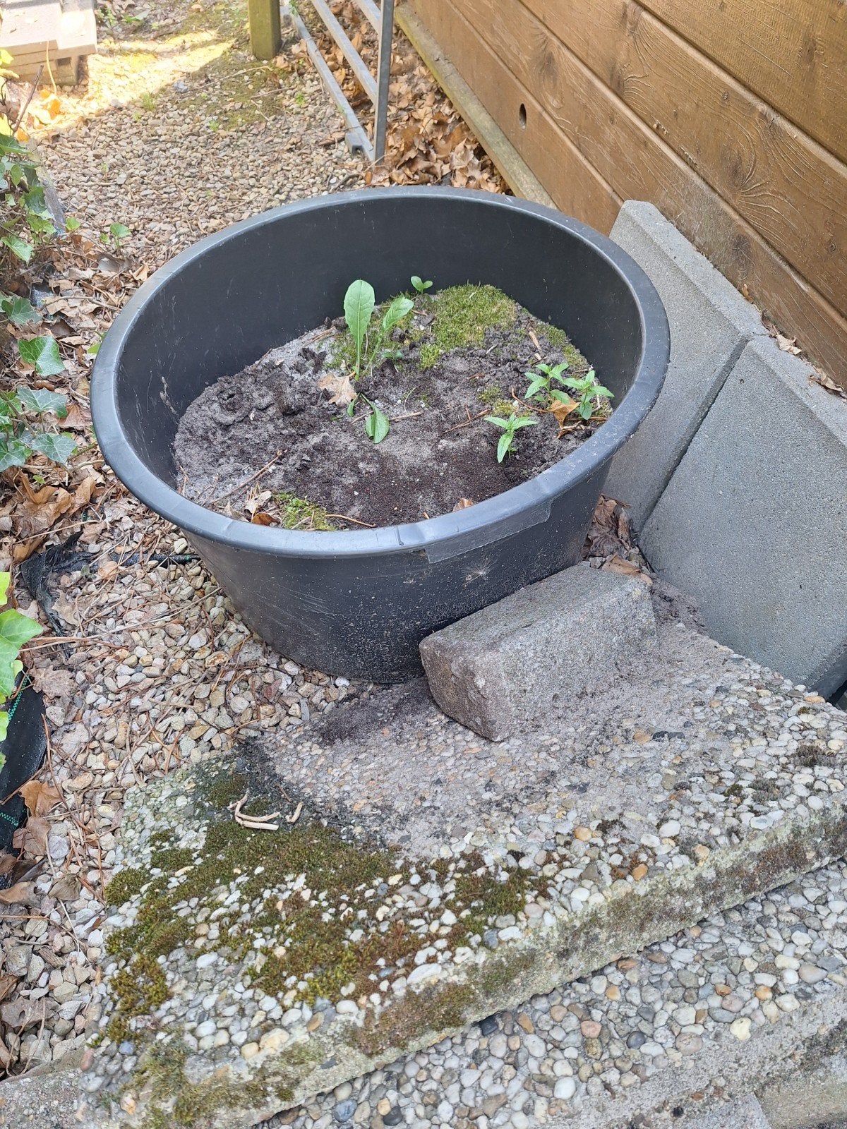 Specieton, Tuin en Terras, Bloempotten, Ophalen, Kunststof, Gebruikt, Rond