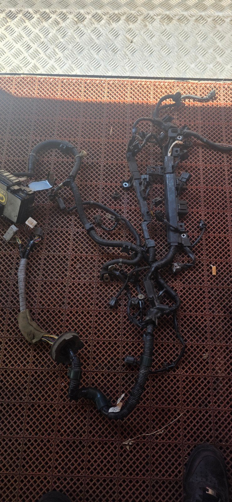 Civic em2 d17a8/d17a9 motor kabelboom, Ophalen of Verzenden, Honda