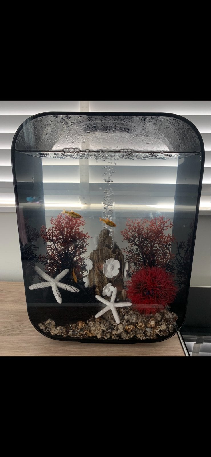 biOrb Life 15 Aquarium – zwart – 15 liter, Ophalen, Inclusief toebehoren, Gebruikt, Aquariummeubel