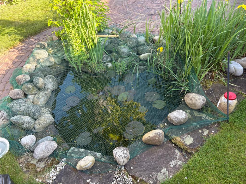 Vijver met waterlelies, beschermnet, stenen en oranje visjes, Ophalen, Gebruikt