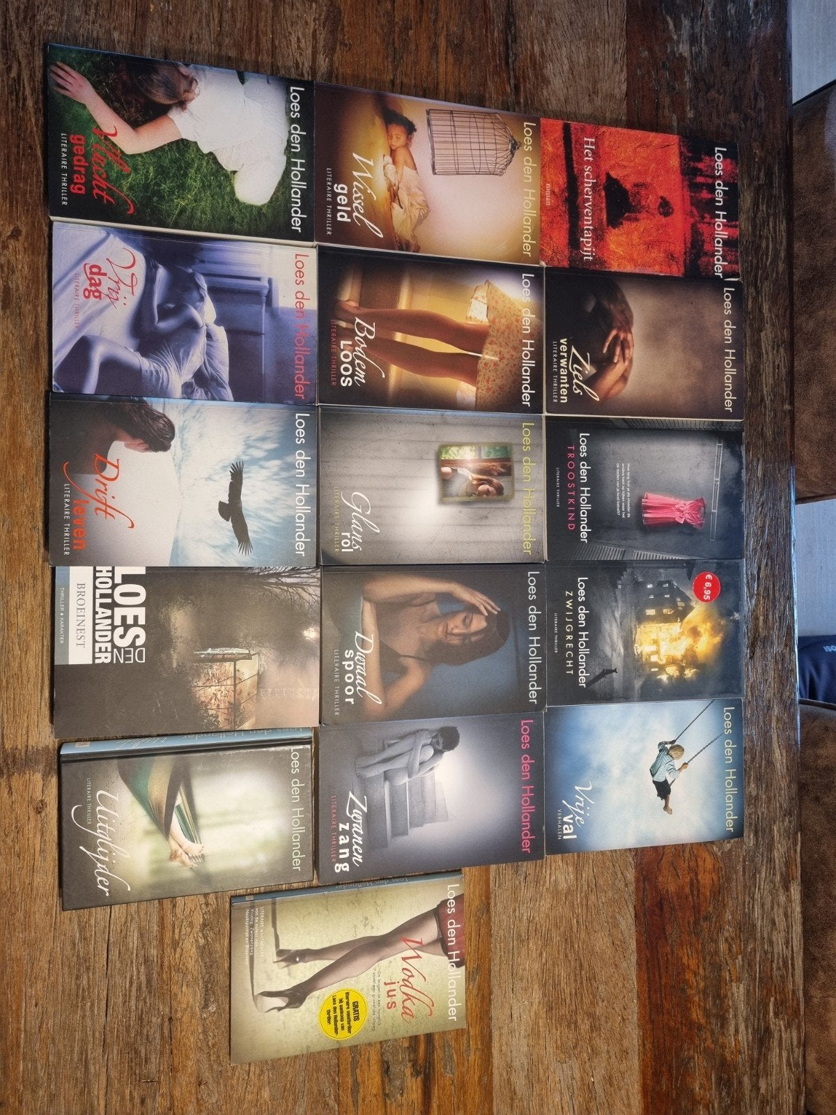 16 boeken Loes den Hollander, Ophalen of Verzenden, Gelezen, Loes den Hollander, Nederland