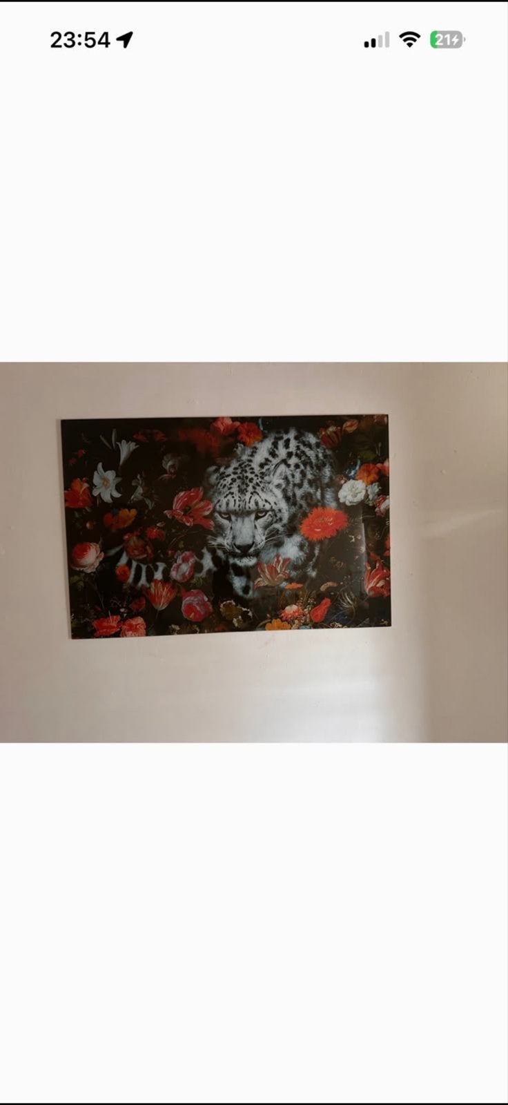 Schilderij luipaard met bloemen, Ophalen, 50 – 75, Zo goed als nieuw, Schilderij