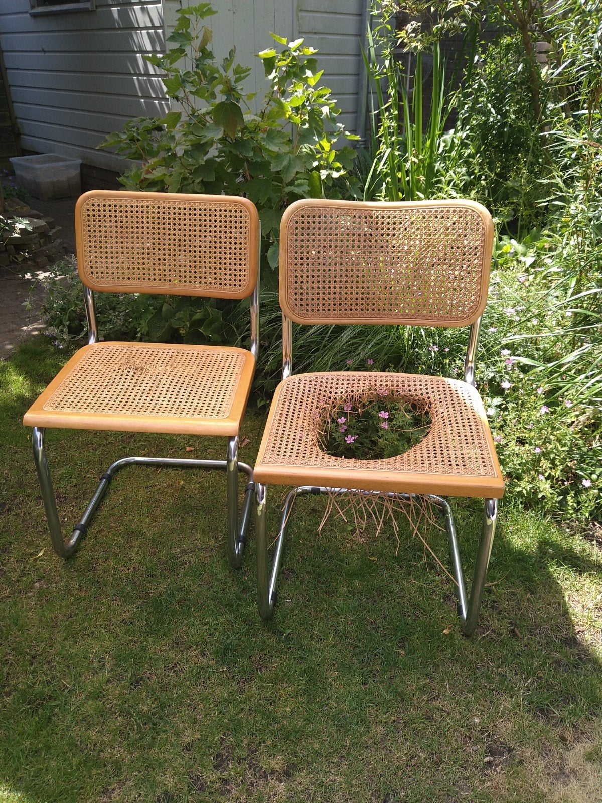 Thonet (stijl) stoelen te koop, Huis en Inrichting, Stoelen, Ophalen, Gebruikt, Twee, Bruin