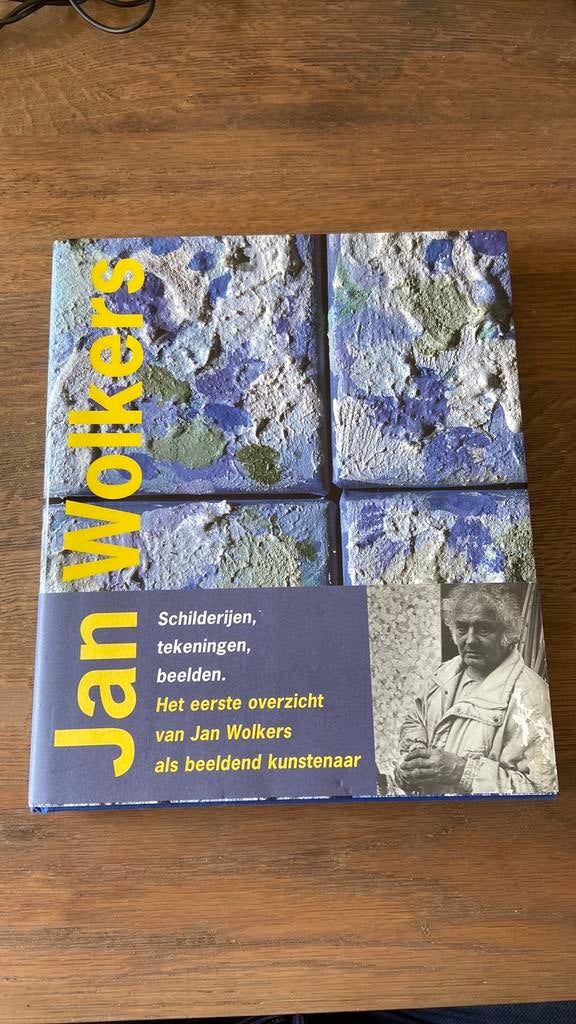 Jan Wolkers - Het eerste overzicht als beeldend kunstenaar, Ophalen of Verzenden, Zo goed als nieuw, Paul Steenhuis, Schilder- en Tekenkunst