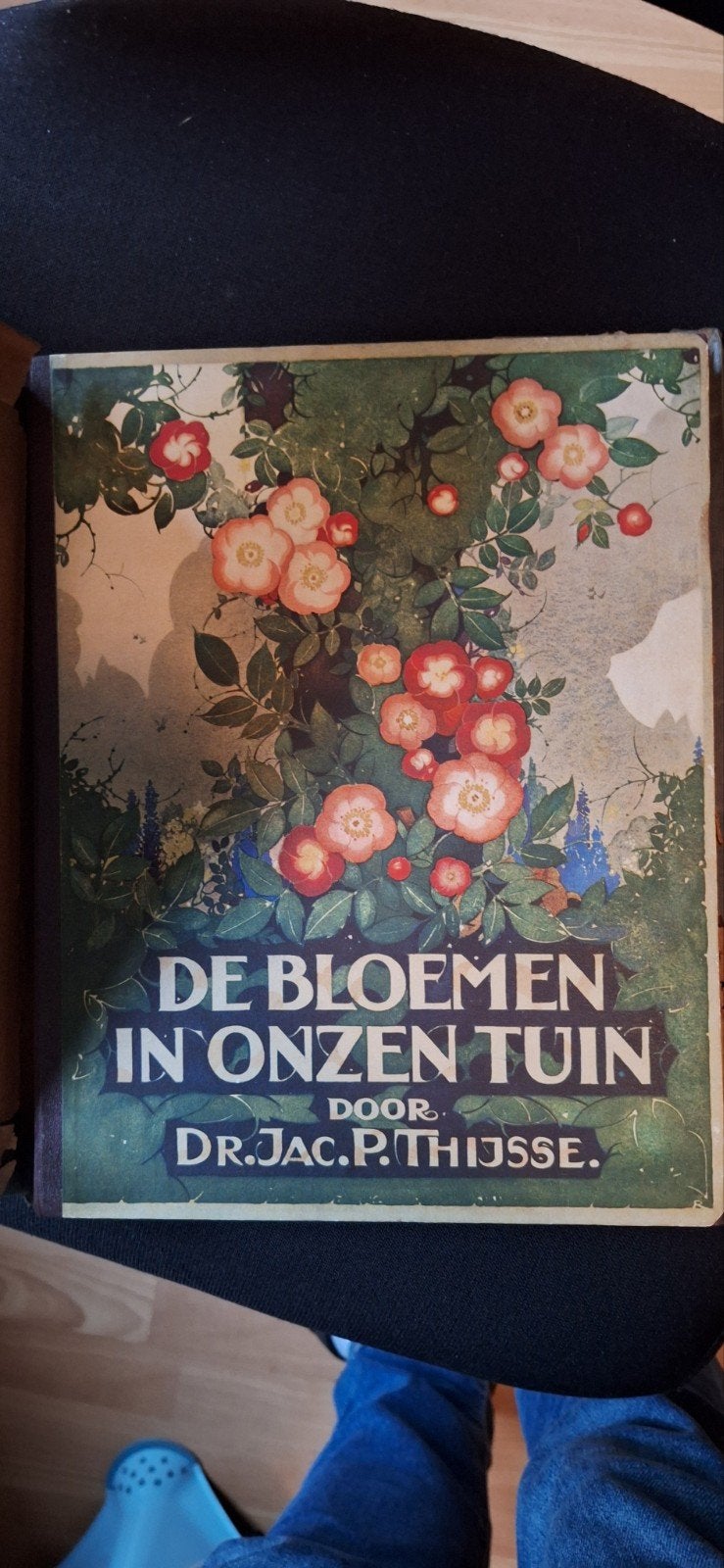 Verkade Plaatjesalbum: De Bloemen in OnzeTuin niet compleet, Boeken, Ophalen of Verzenden, Gelezen, Dr. Jac. P. Thijsse, Plaatjesalbum
