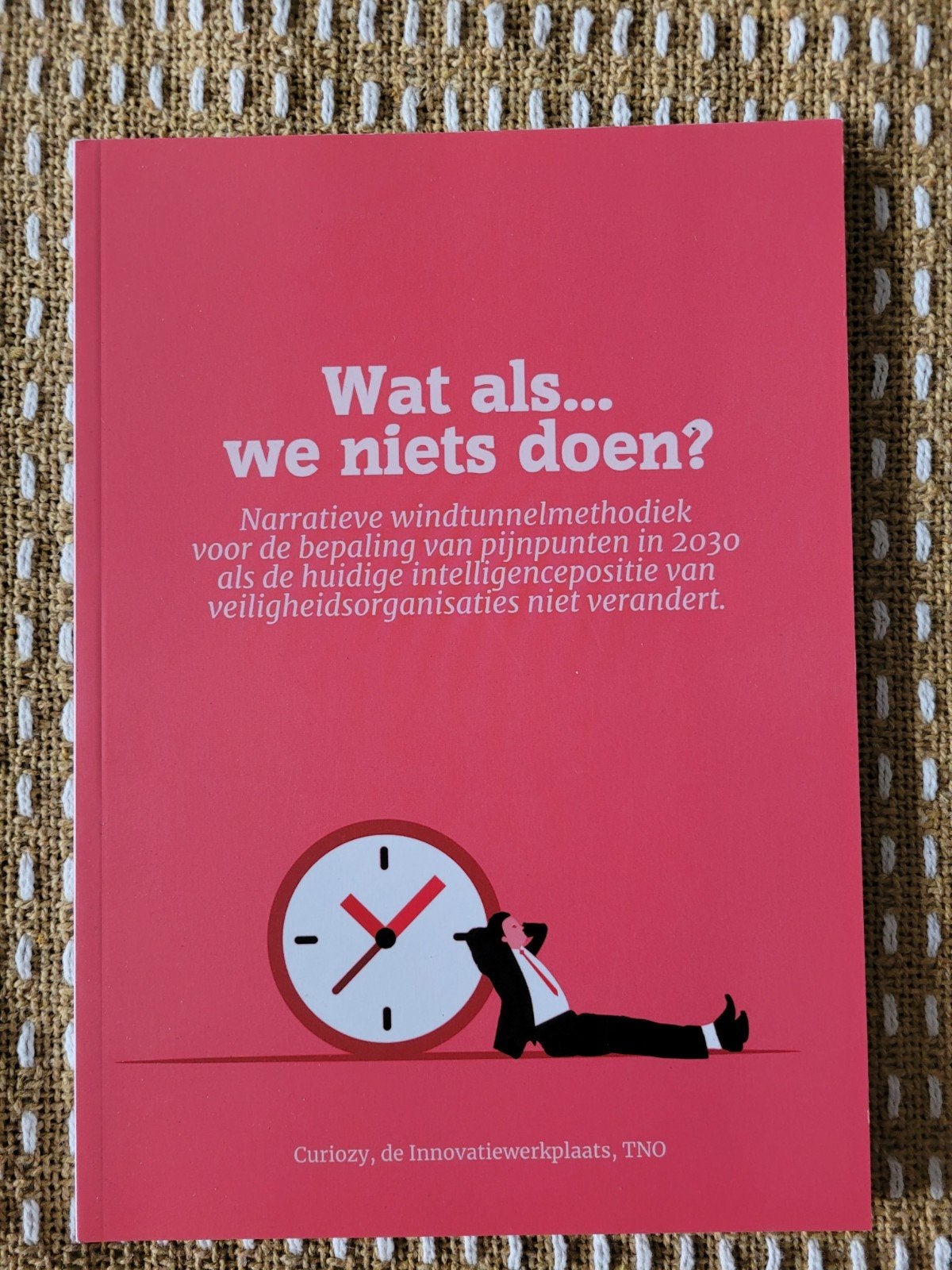 Wat als we niets doen? Narratieve windtunnelmethodiek, Ophalen of Verzenden, Nieuw, WO, Pepijn Vos, Arnout de Vries, Hans Stavleu