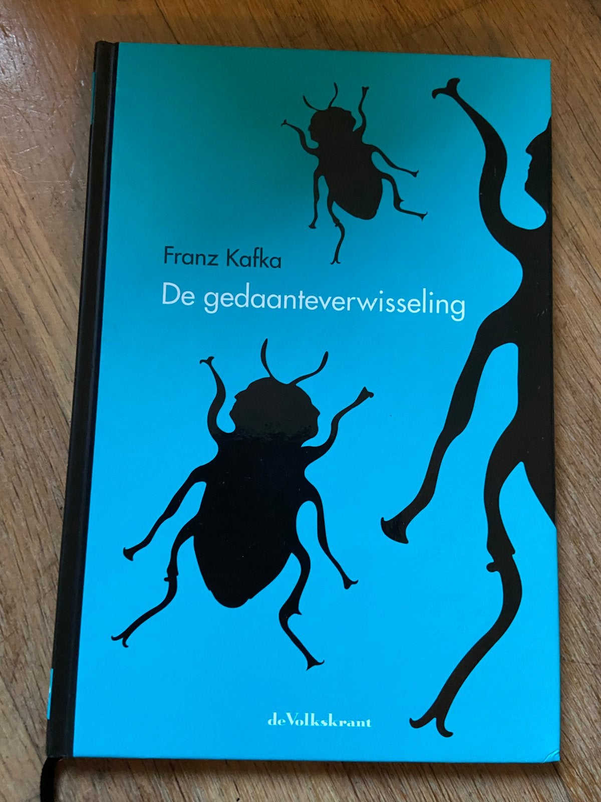 De gedaanteverwisseling - Franz Kafka (de Volkskrant), Boeken, Ophalen, Zo goed als nieuw, Nederland