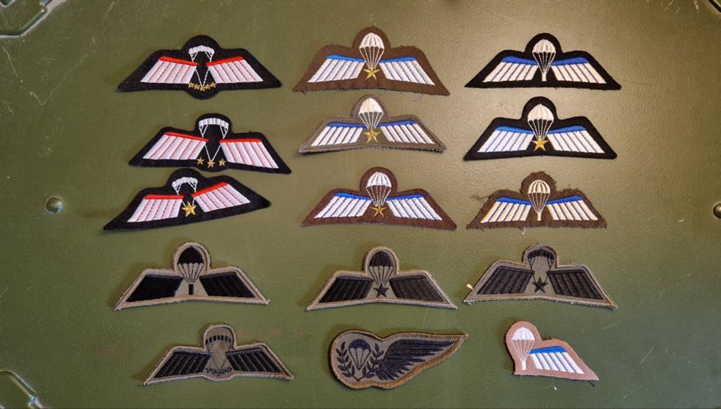 Militaire wings, Ophalen of Verzenden, Landmacht, Nederland, Lintje, Medaille of Wings
