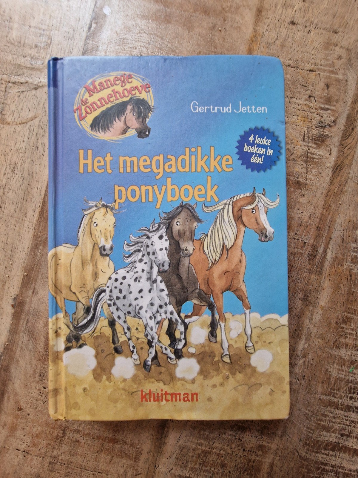 Het megadikkeponyboek - De Manege Zonnehoeve, Boeken, Kinderboeken | Jeugd | onder 10 jaar, Ophalen of Verzenden, Gelezen, Gertrud Jetten