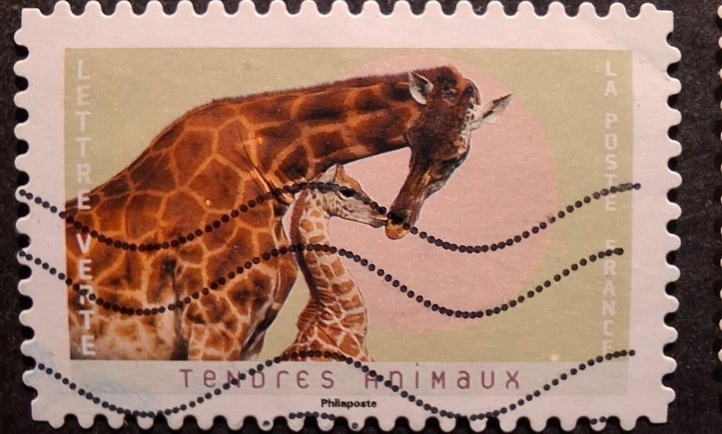 Frankrijk 355 giraffe, Ophalen of Verzenden, Overige thema's